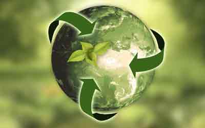 Sustainability & Responsibility