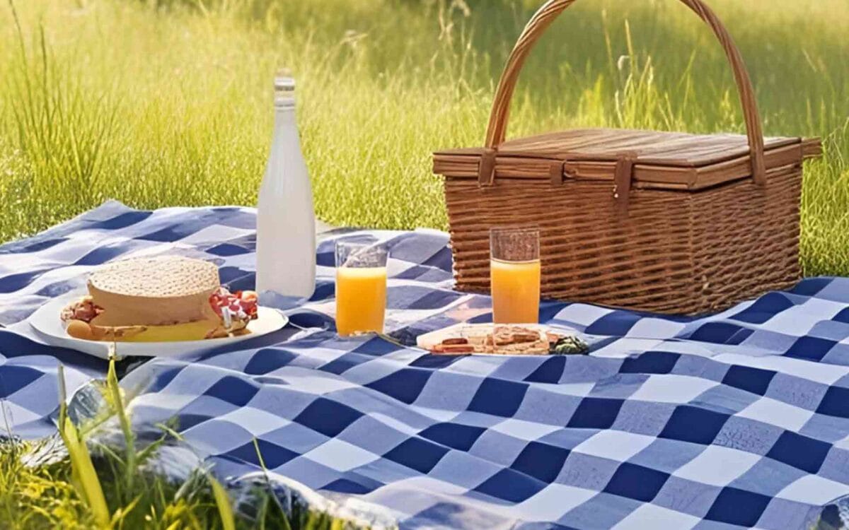 What Does Gingham Smell Like? A Guide to the Scent and the Style