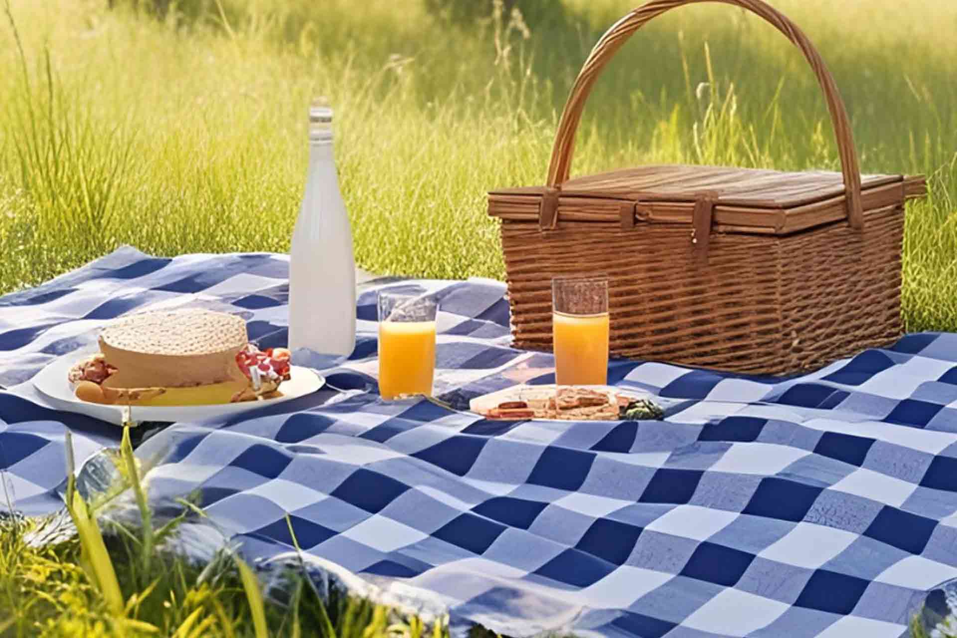 Gingham scent