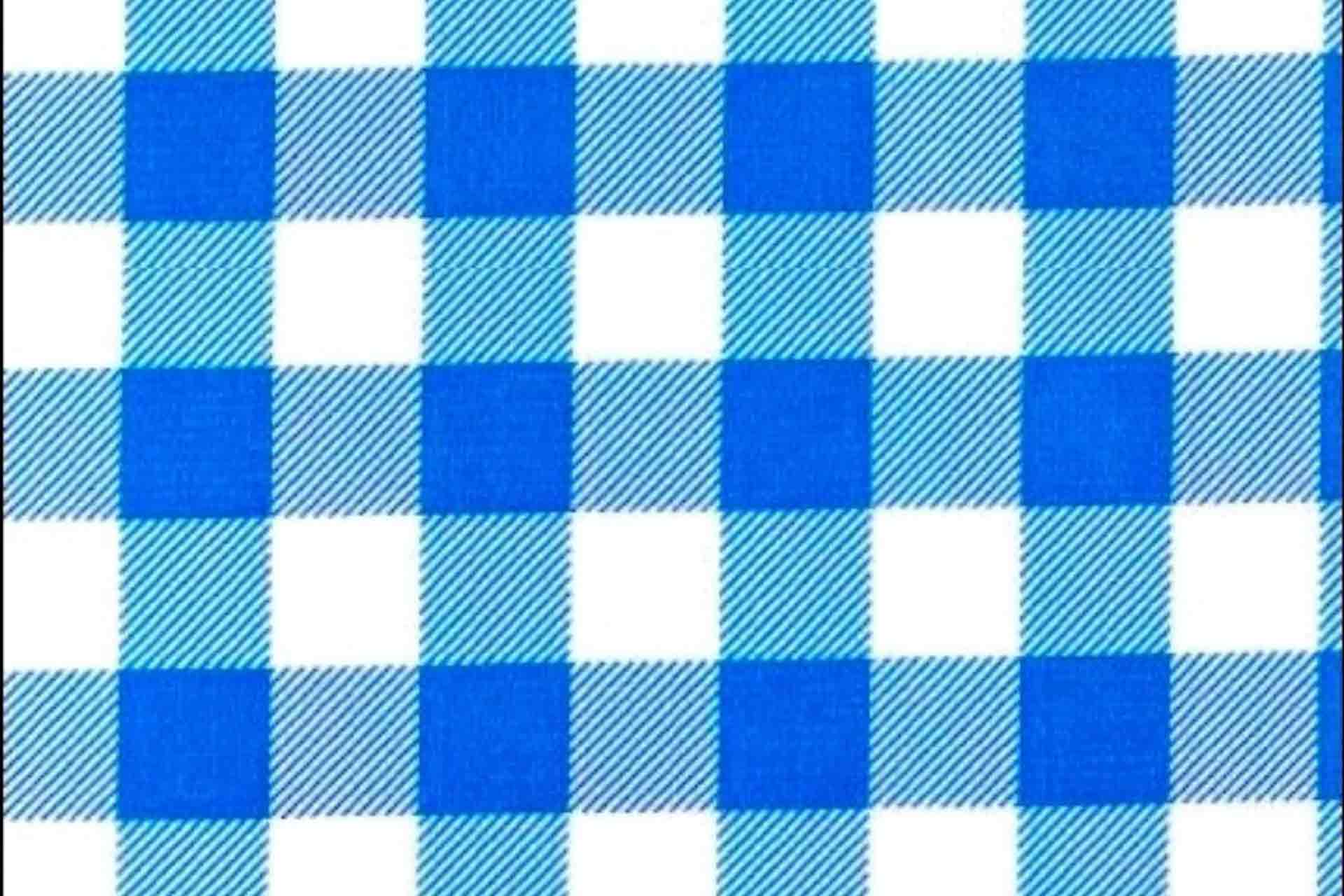 gingham fabric by the yard