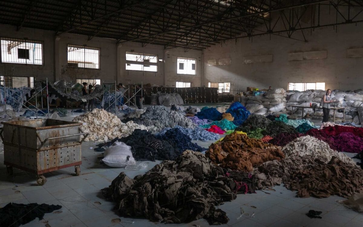 Biodegradable and Breathable: Why Cotton Fiber and Animal Wool Still Rule the Industry